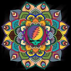 Meet your Posher, Molly